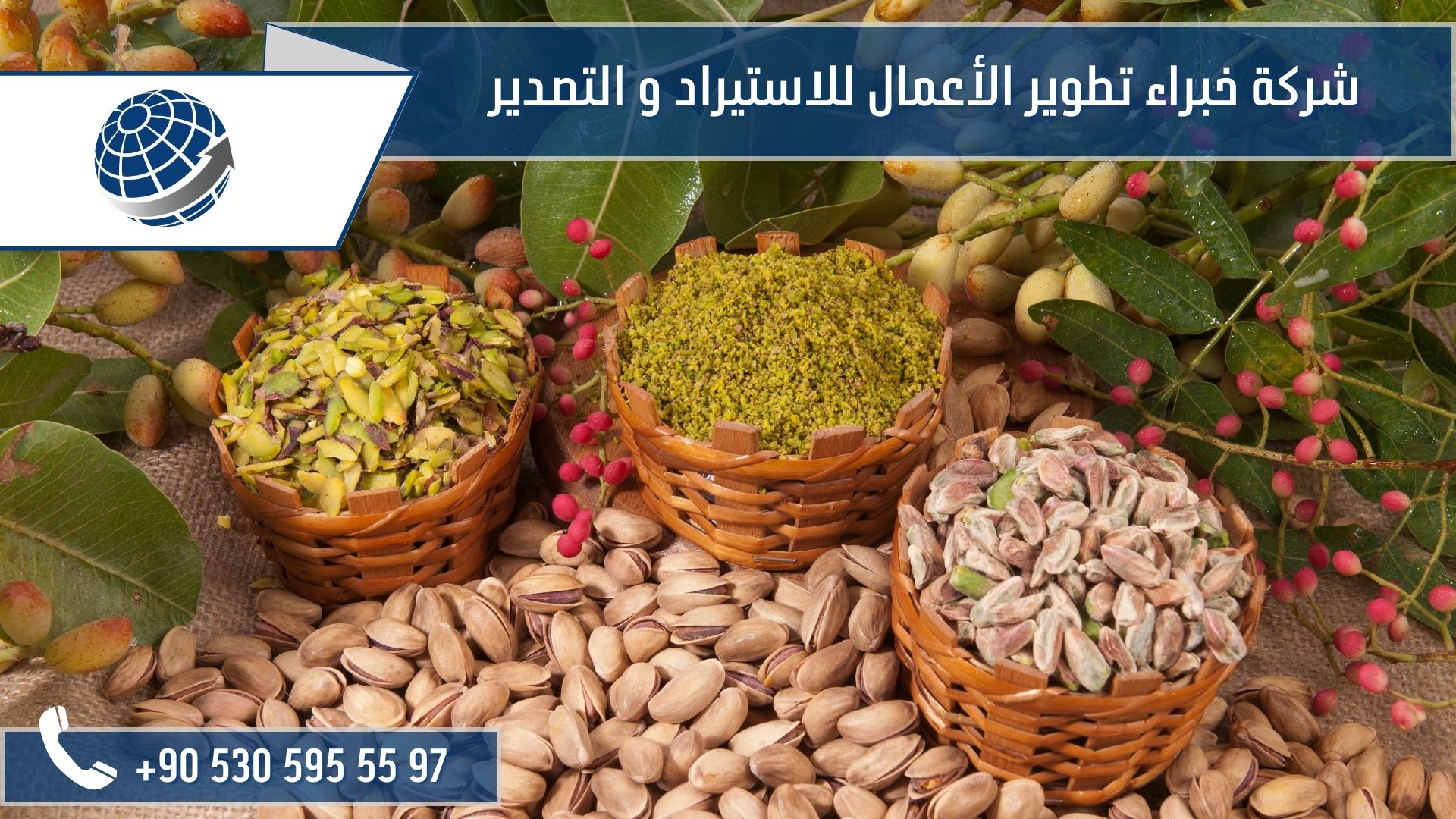 استيراد الفستق الحلبي من تركيا