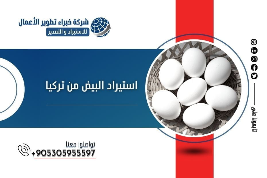 طرق استيراد البيض من تركيا