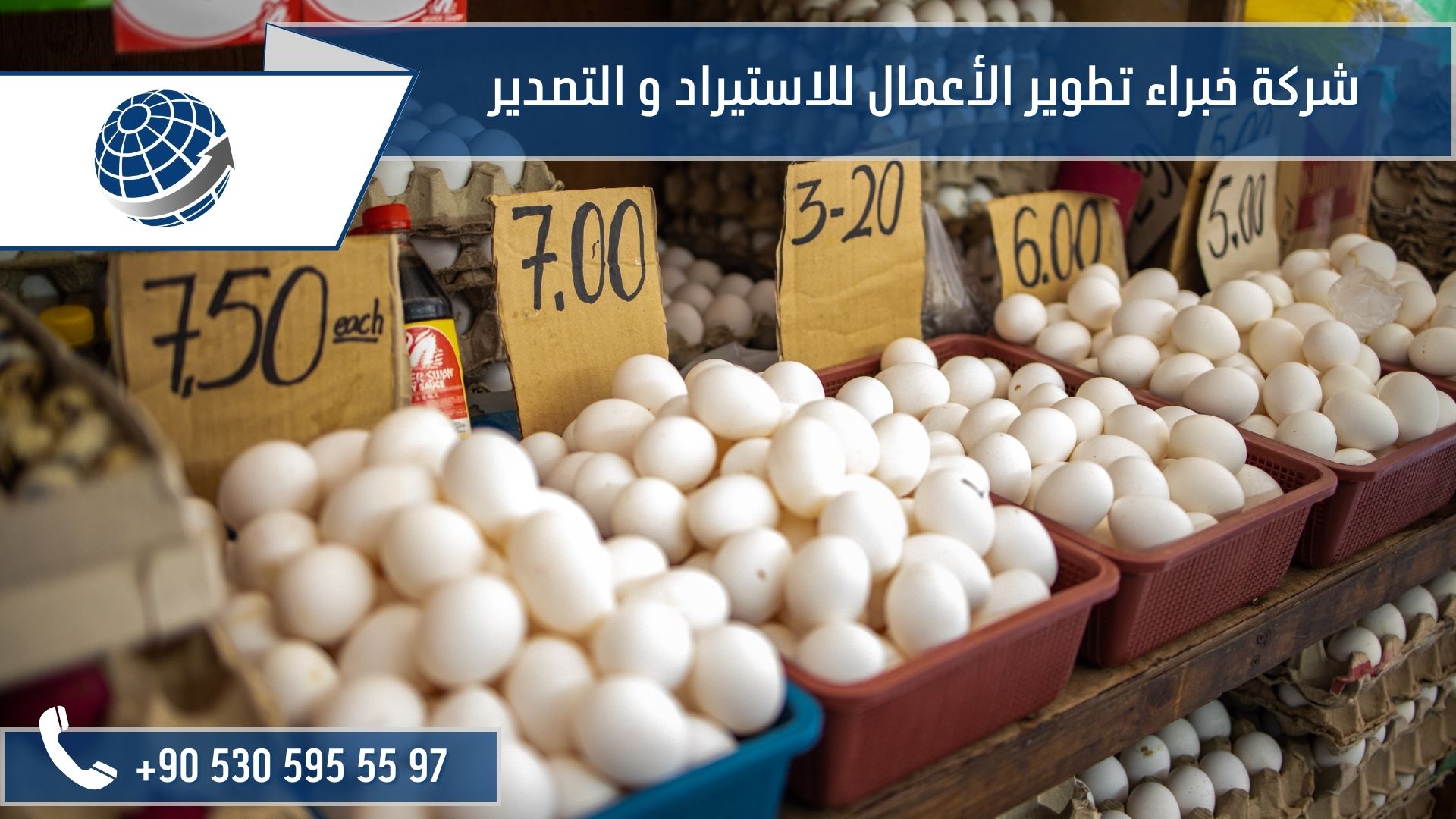 استيراد بيض ديك الرومي من تركيا